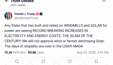 Renewable Energy in the USA: Stupid is as Stupid Does 