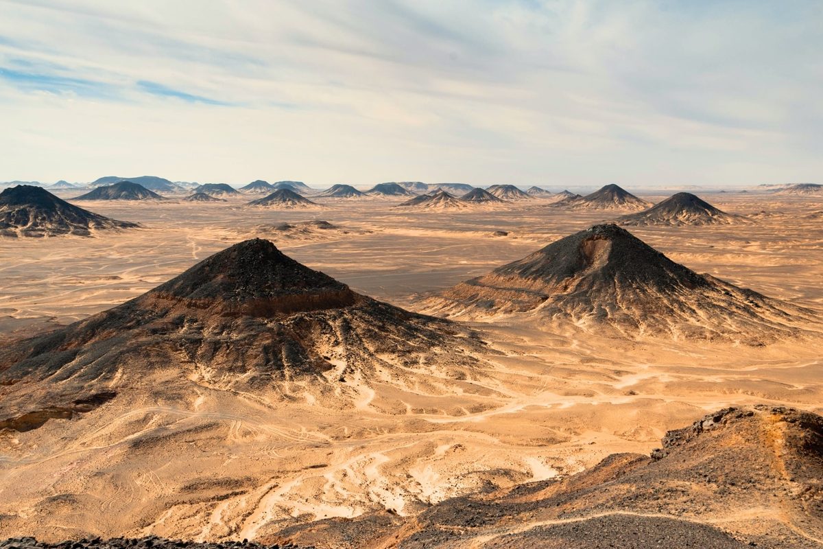 Formidable crocodile-like predator discovered in Egyptian desert