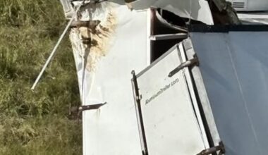 Monkeys from Tulane University escape after truck was involved in I-59 accident