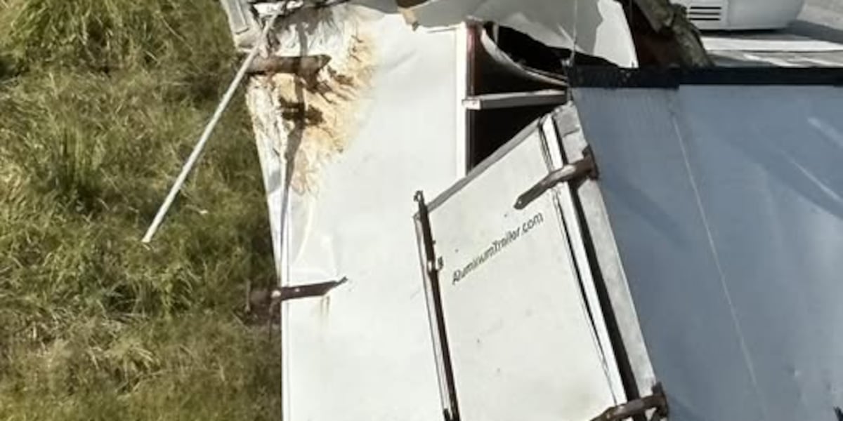 Monkeys from Tulane University escape after truck was involved in I-59 accident