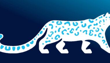 Snow leopard is a national symbol of Kyrgyzstan, Cabinet approves the logo