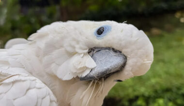 Yahoo lifestyle home