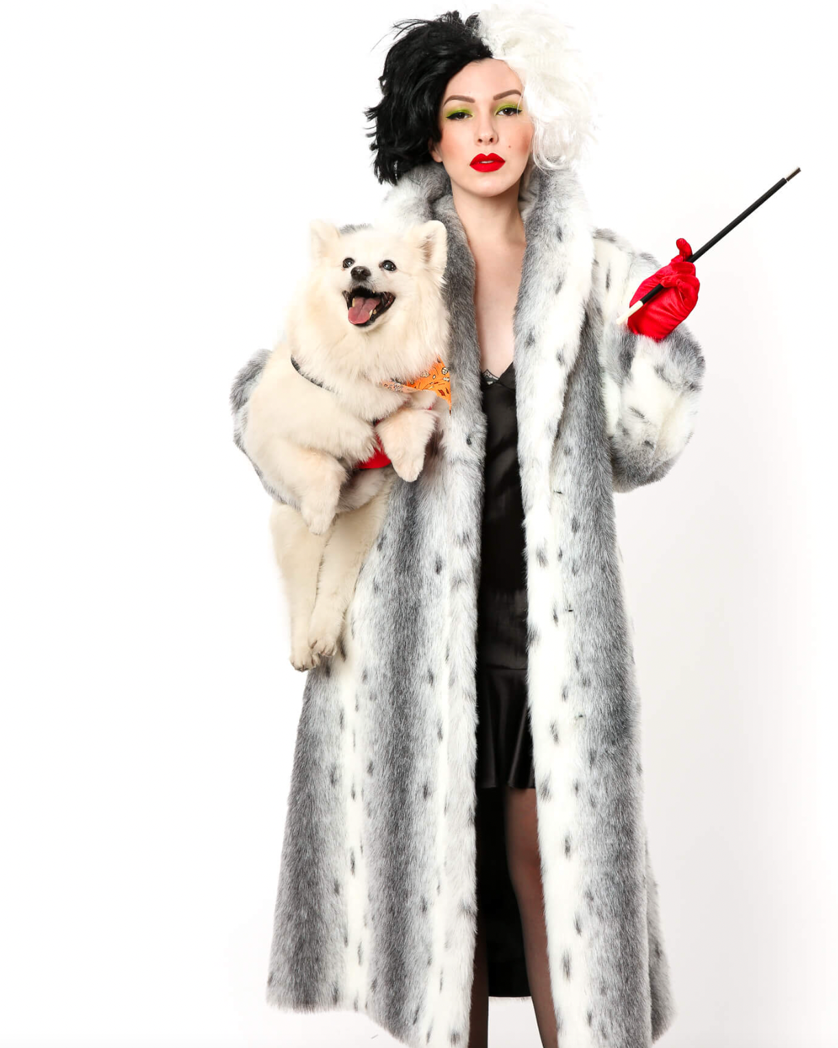 book character costumes cruella de vil