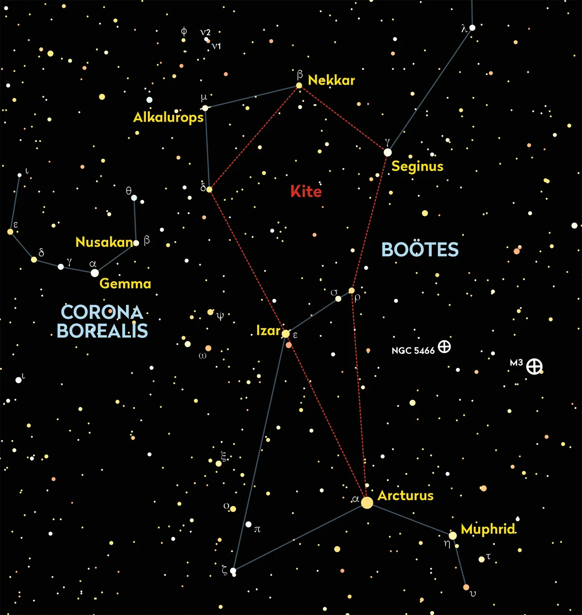 The constellation Boötes