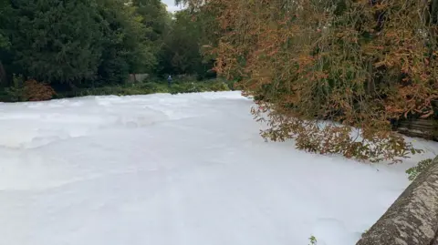 Environment Agency Thick white foam on the surface of the River Thet at Thetford. On the far side is a river bank with trees; in the middle branches with autumnal leaves meet the water; on the right is a glimpse of a bridge balustrade top. 
