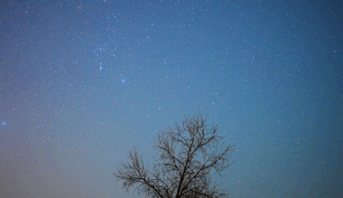 The Orionid meteor shower lights up autumn skies - news.cgtn.com