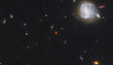 Is our first "galaxy-quasar hybrid" also a Little Red Dot?
