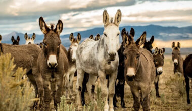 Yahoo lifestyle home