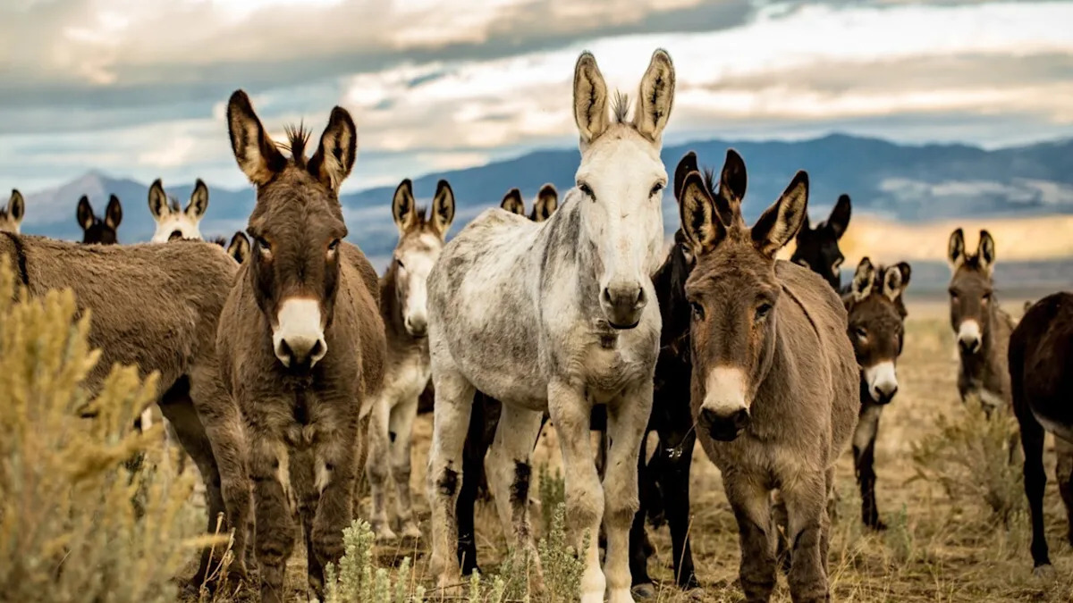 Yahoo lifestyle home