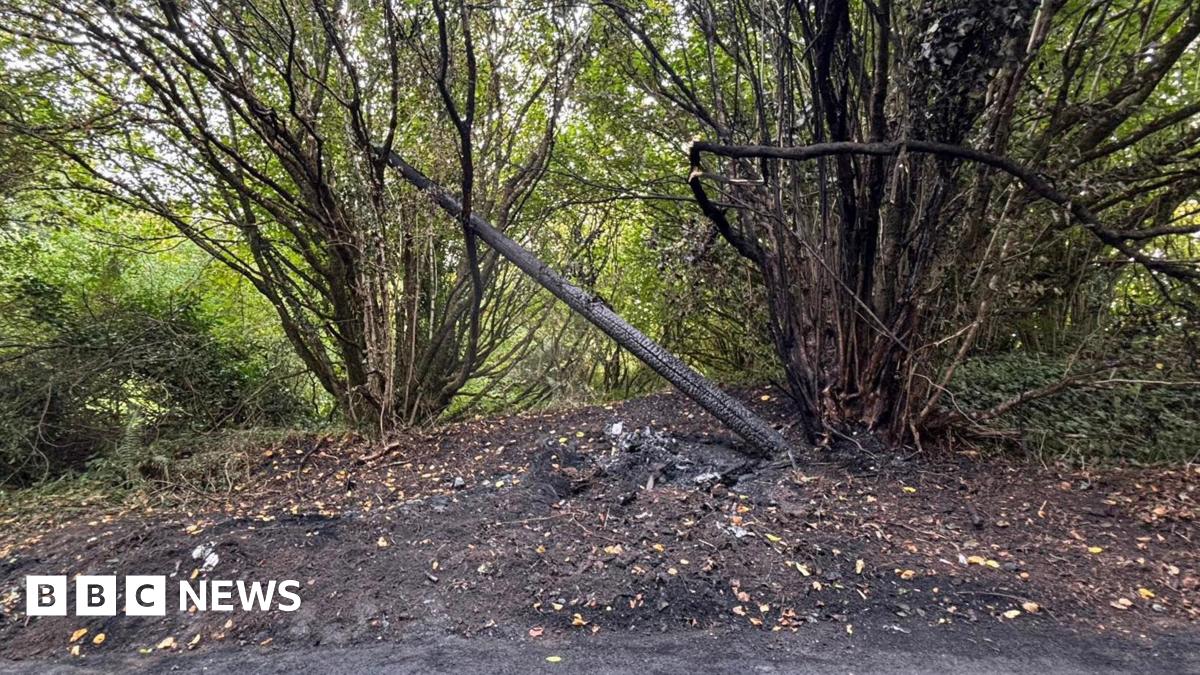 A burnt telegraph pole learning at 45 degrees surrounded by scorched bushes and scorched soil.