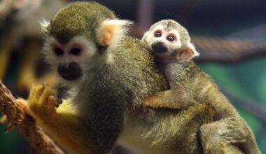 New study reveals how illegal wildlife trade intersects with organized crime in Canada