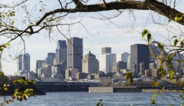 Climate change is making cities hotter. Here’s how planting trees can help