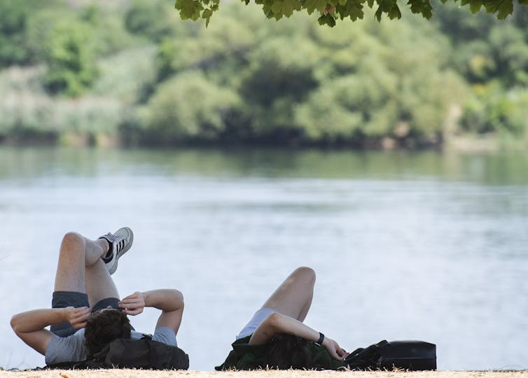 two people lying on the grass beneath a tree near a body of water