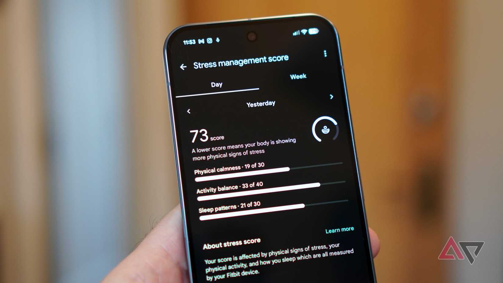 The Stress Management feature in the Fitbit app