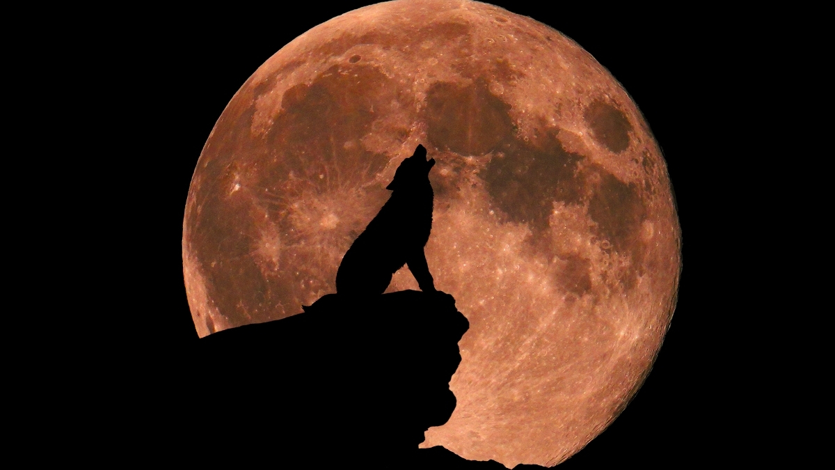 Does The Full Moon Really Affect Our Sleep? Here's The Science : ScienceAlert