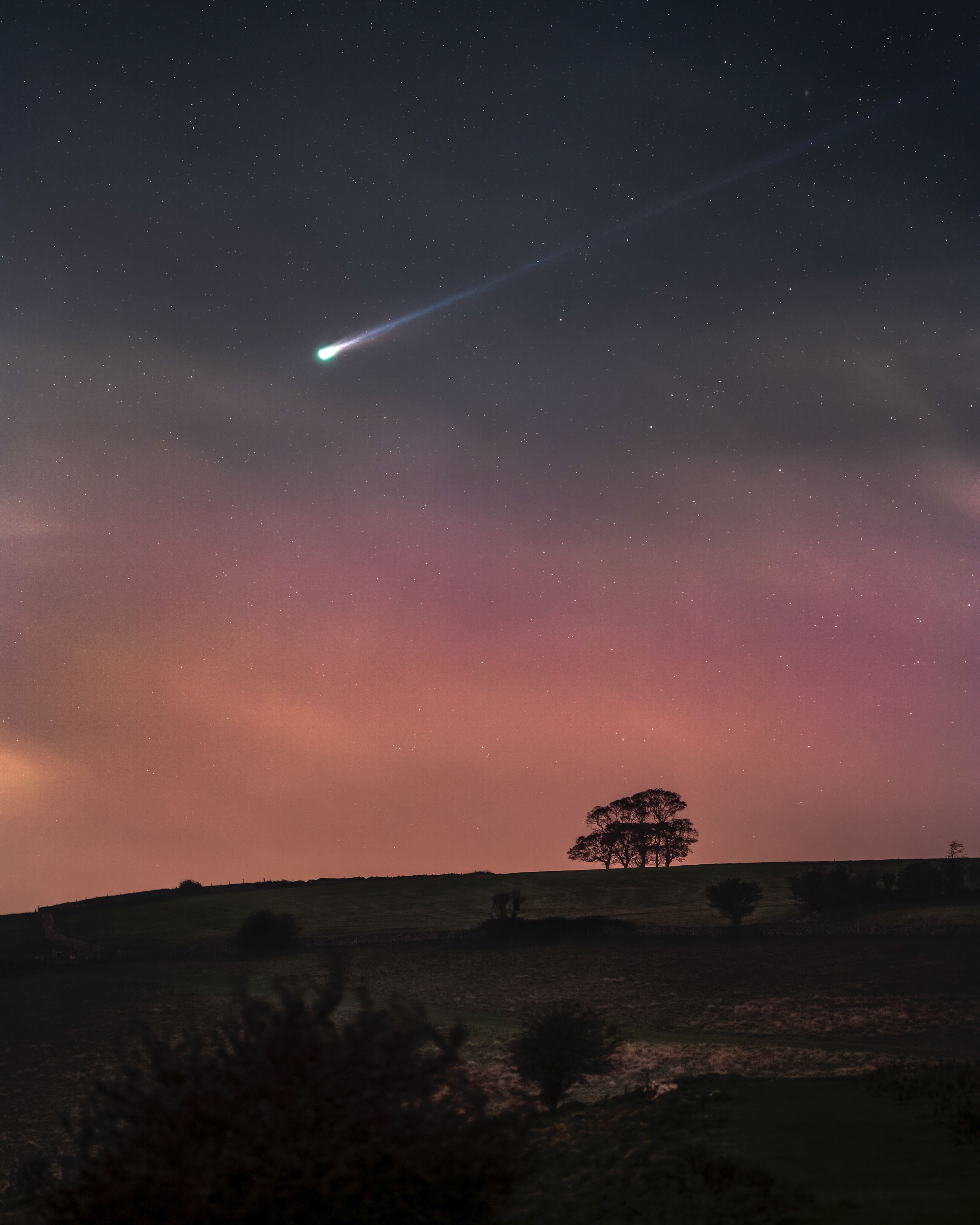 A comet streaks from the top right corner to the bottom left over a landscape with a silhouette of a tree in front of a dusky sunset landscape.