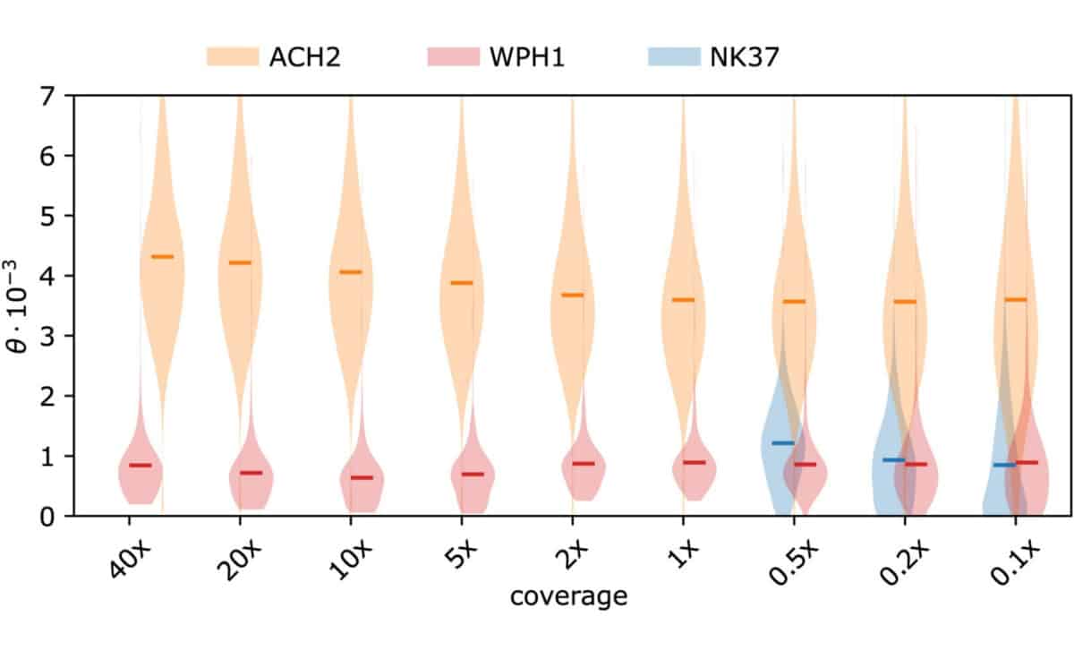 Genome Wide Heterozygosity (θ) Across Different Genomic Coverage