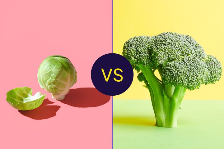 Which Packs a Greater Antioxidant Punch?