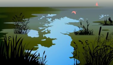 An illustration showing a wetland with water shaped like the UK map, surrounded by plants featuring pound signs