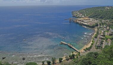 Another species declared extinct in Australia