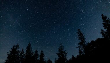 Orionid meteor shower peaks: Best time to see shooting stars light up night sky