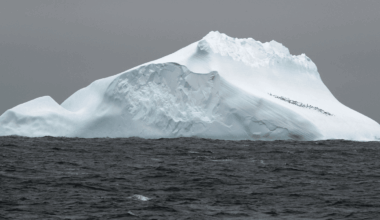 Biggest Ocean Current On Earth Is Set To Shift Location, Spelling Huge Changes For Ecosystems