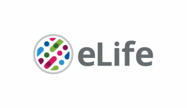 Spatiotemporal brain complexity quantifies consciousness outside of perturbation paradigms