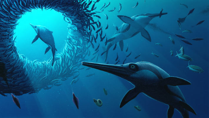 Fossil of Long and Narrow-Snouted Ichthyosaur Uncovered in England