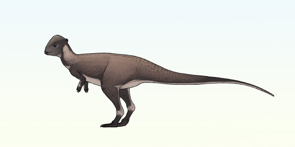 Life reconstruction of Brontotholus harmoni. Image credit: Connor Ashbridge / CC BY 4.0.
