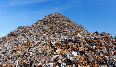 Waste Management's Downturn Doesn't Justify It Sitting In The Waste Bin (NYSE:WM)