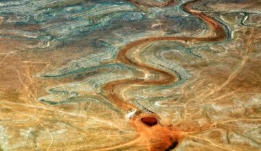 The Market’s Liquidity Source Is Running Dry