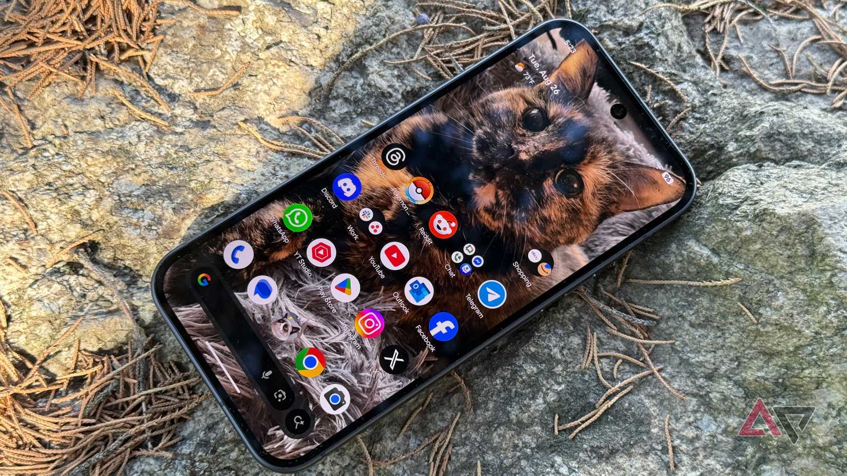 Google Pixel 10 display in daylight