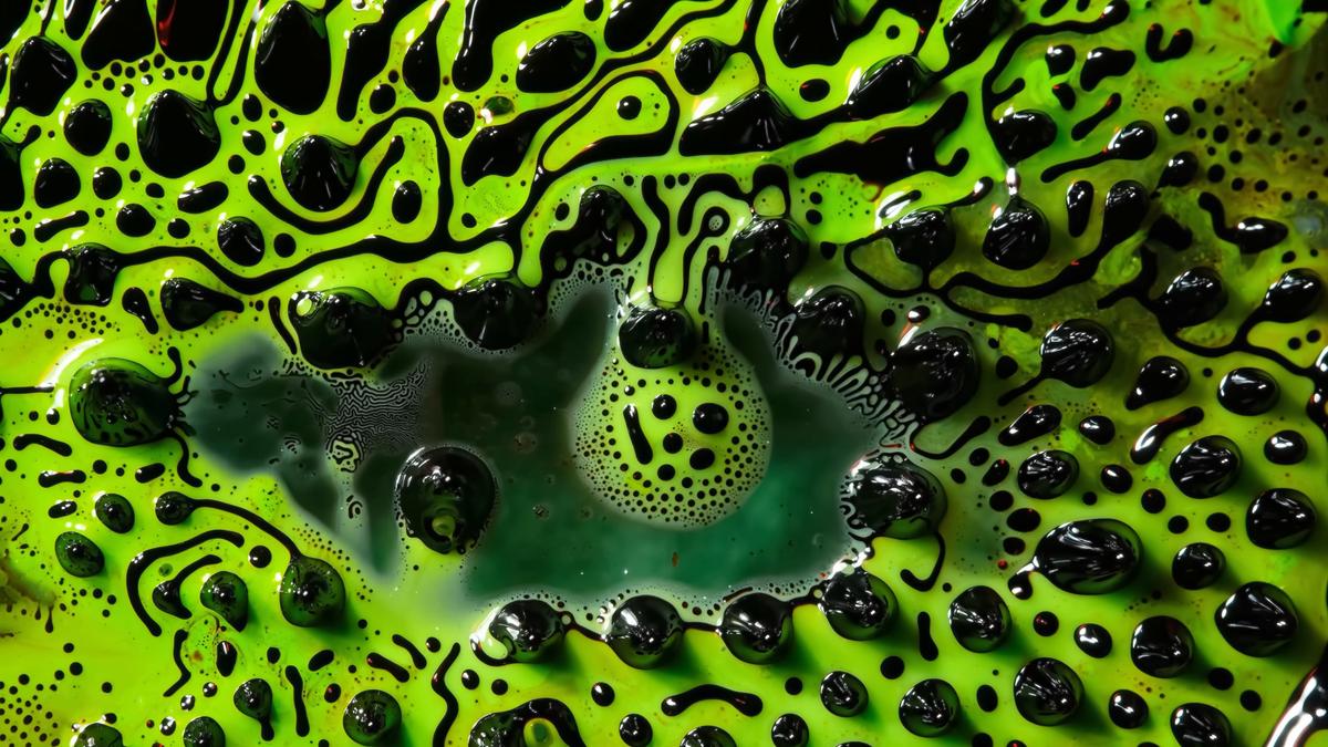 A radical reimagining of physics puts information at its centre