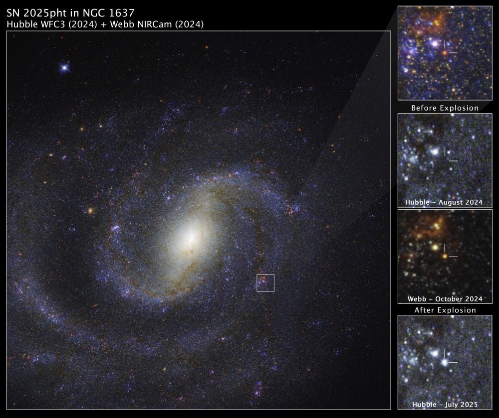 This image shows a combined JWST and Hubble view of spiral galaxy NGC 1637, with the region of interest in the top right. The remaining three panels show a detailed view of a red supergiant star before and after it exploded. The star is not visible in the Hubble image before the explosion, but appears in the JWST image. The July 2025 view from Hubble shows the glowing aftermath of the explosion. Image Credit: NASA, ESA, CSA, STScI, Charles Kilpatrick (Northwestern), Aswin Suresh (Northwestern)