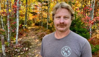 Wildlife report finds majority of P.E.I. species to be stable, while others are on the brink