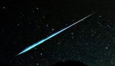 See shooting stars from Halley's Comet tonight. Why conditions are perfect for autumn’s top meteor shower