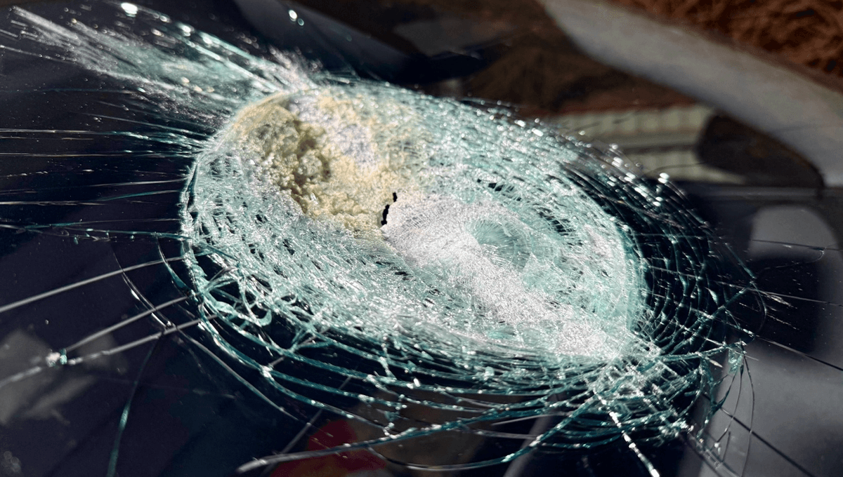 Unidentified Object Melts Windscreen Of A Moving Tesla, In What Could Be A World-First Meteorite Collision