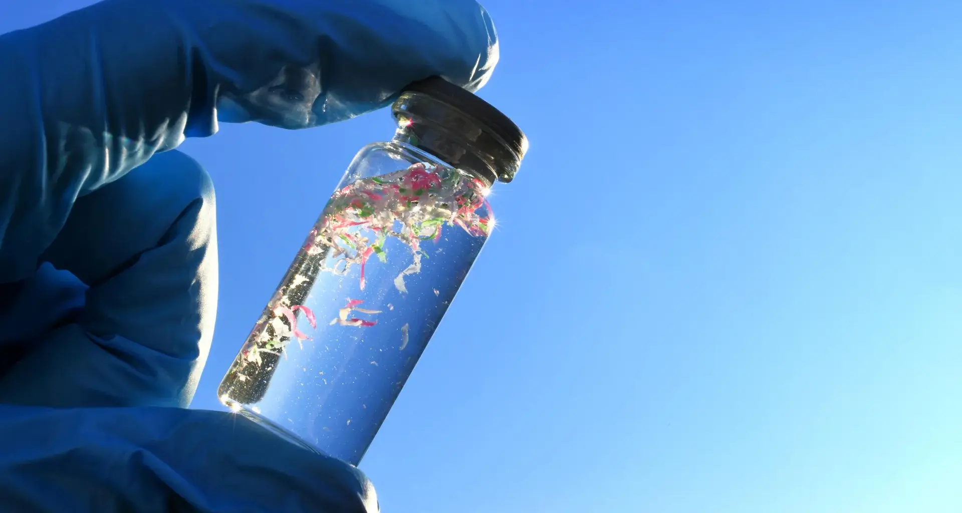 New research reveals what’s really hiding in bottled water