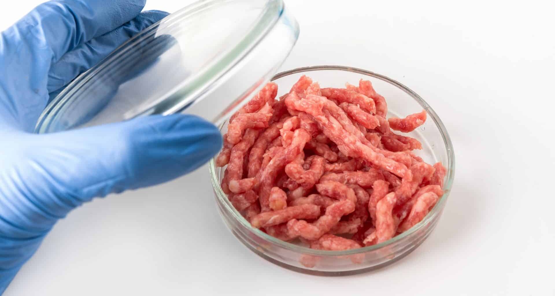 Minced Meat In Petri Dish