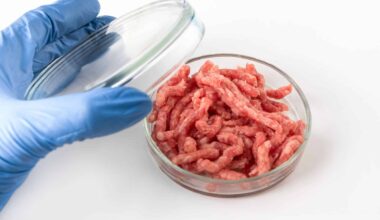 Minced Meat In Petri Dish
