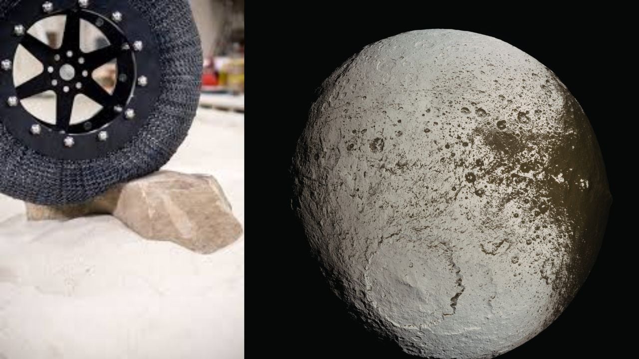 The Space Tire Revolution: NASA’s Airless Wheels Head for Earth Roads
