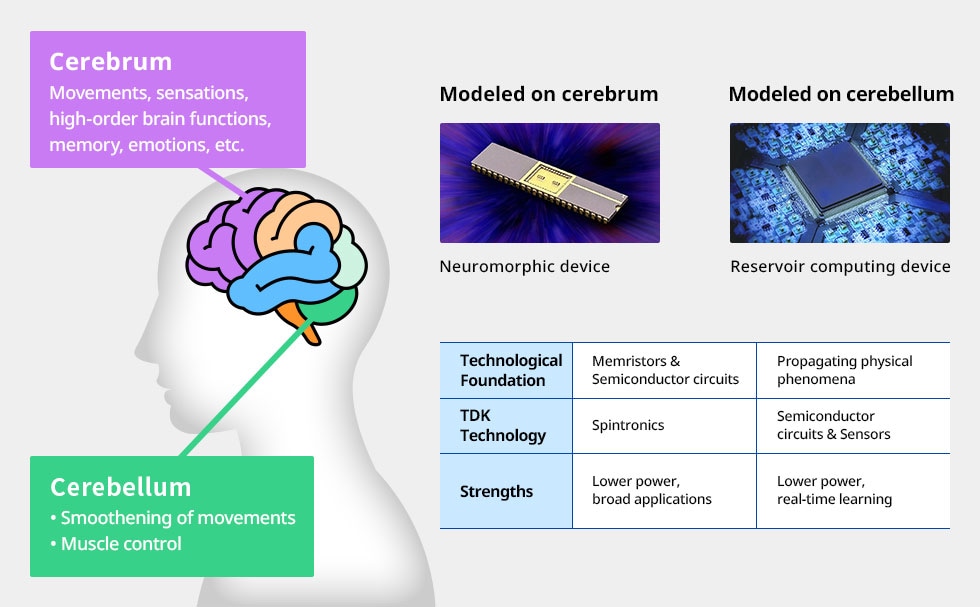 Diagram comparing devices modeled on cerebrum and cerebellum