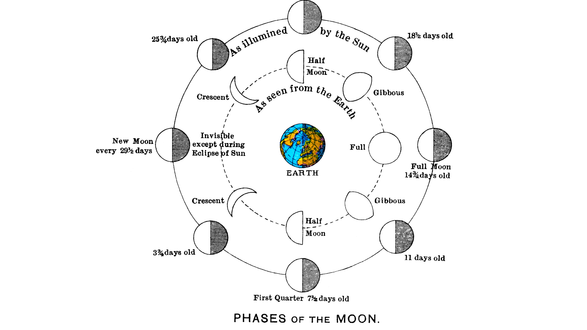 Vintage illustration of the phases of the Moon relative to the Earth and Sun