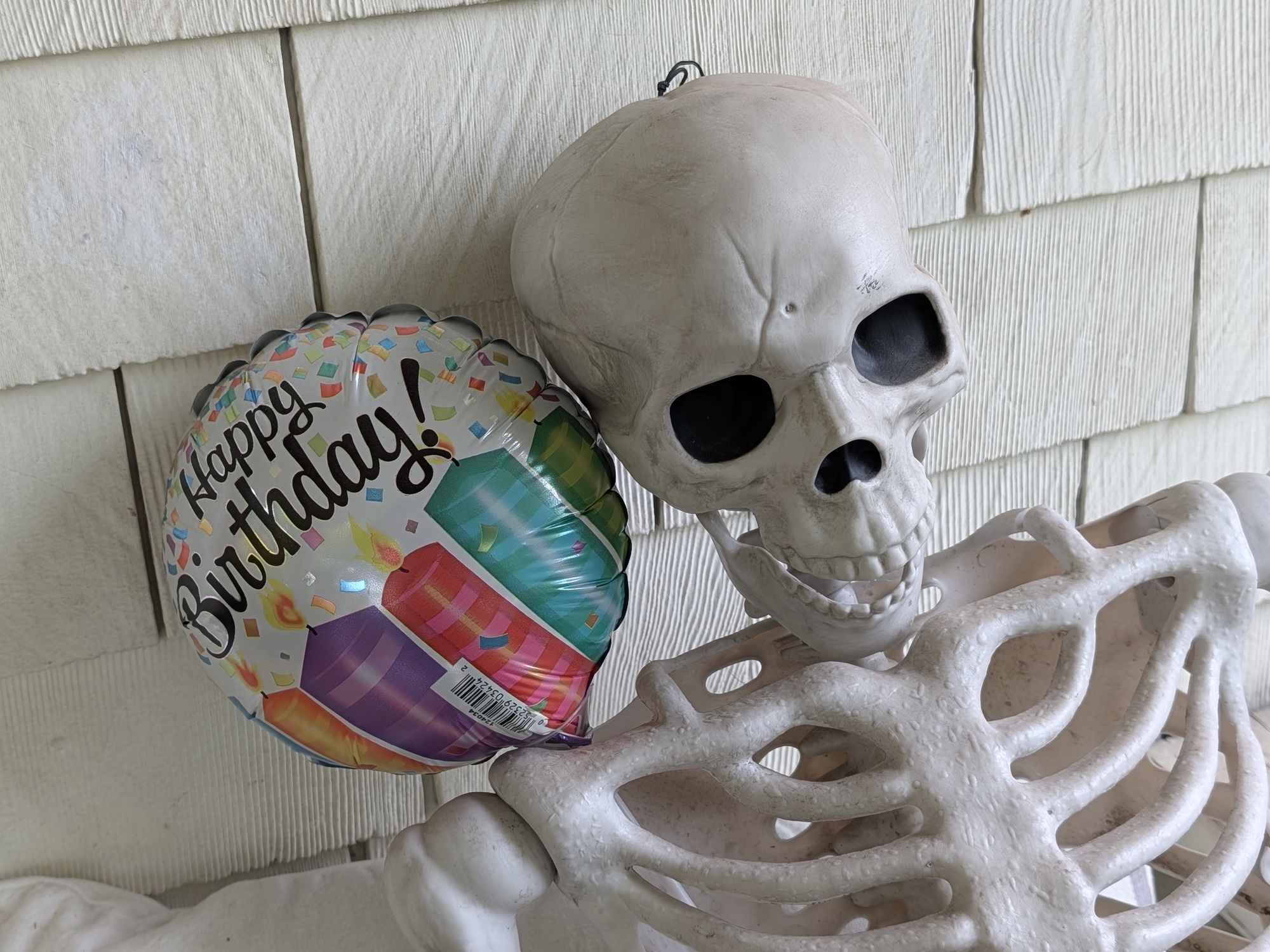 skeleton portrait by pixel 10 pro