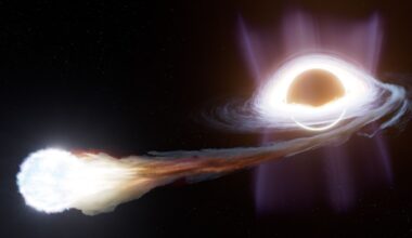 An artist&rsquo;s impression of a tidal disruption event, where a star gets too close to a black hole and is torn apart, its debris forming an accreting disk of material around the black hole.