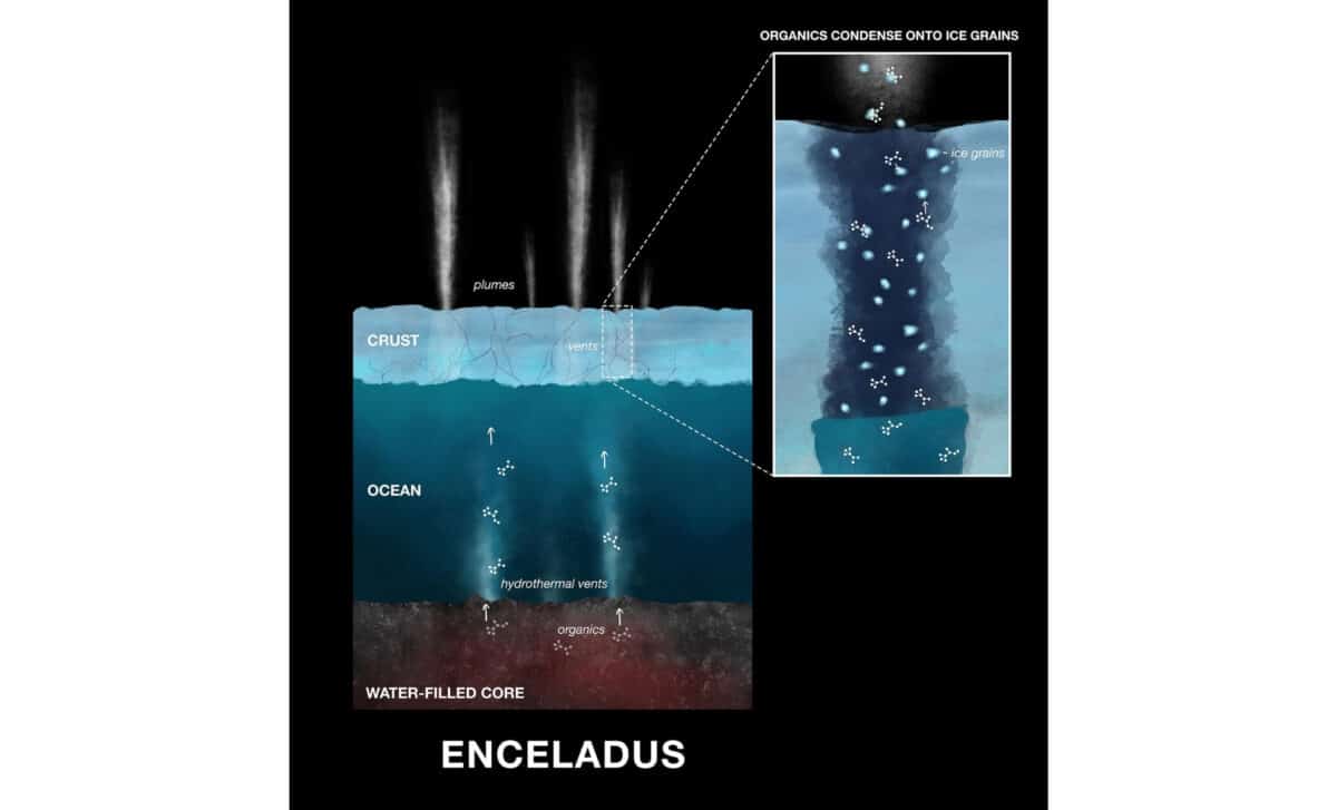 Organic Compounds In Enceladus Ice Grains