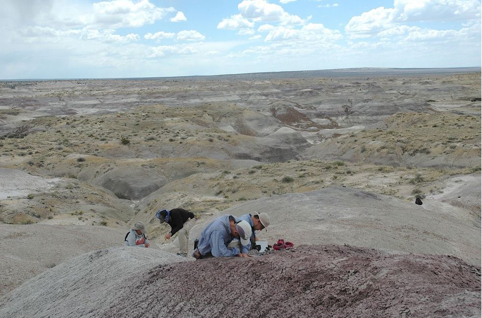 Researchers in New Mexico