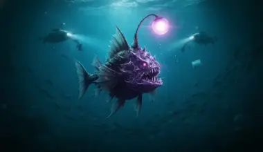 Scientists Discover Ruthless New Predator in the Ocean's Darkest Depths—A Species No One Saw Coming