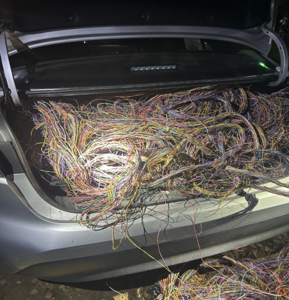 Accused thieves 'break the internet' in Hickory