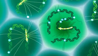 Scientists finally read the hidden DNA code that shapes disease